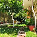 Stavros Apartament